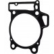 420650390 Прокладка Цилиндра Для BRP Can Am DS 450, Spyder