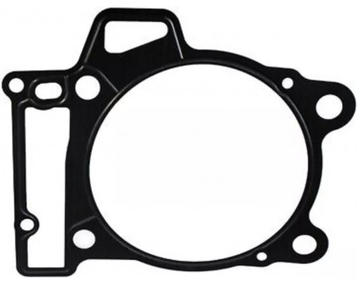 420650390 Прокладка Цилиндра Для BRP Can Am DS 450, Spyder
