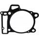 420650390 Прокладка Цилиндра Для BRP Can Am DS 450, Spyder