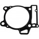 420650390 Прокладка Цилиндра Для BRP Can Am DS 450, Spyder