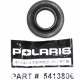5413806 Кольцо Уплотнительное Клапанной Крышки Для Polaris