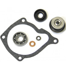 AT-10081 SPI Ремкомплект Помпы Для Polaris