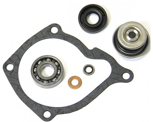AT-10081 SPI Ремкомплект Помпы Для Polaris