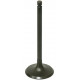 AU-09191I SPI Впускной Клапан Двигателя Для Polaris SPORTSMAN 550 3090118