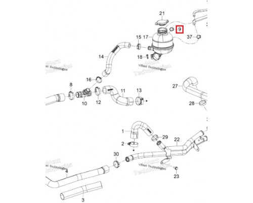 293650025 Хомут Для Ski Doo