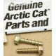 0623-684 Болт Ведомого Вариатора Для Arctic Cat