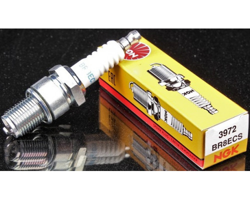 512060029 Свеча Зажигания NGK 3972 BR8ECS Для Ski Doo SDI