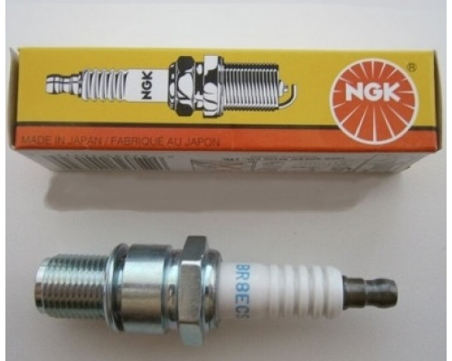 512060029 Свеча Зажигания NGK 3972 BR8ECS Для Ski Doo SDI