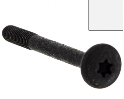 7518882 SCREW