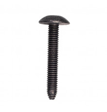 7519001 SCREW
