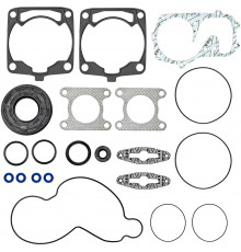 09-711298 SPI Полный Комплект Прокладок И Сальников Для Polaris 600, 700 5411394, 5412798, 5413036, 5411411, 5411359, 5410932, 5813026, 5411521