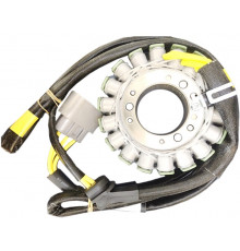 AT-01442 SPI Статор Для BRP Can Am 420685921