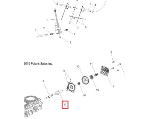 09-719119 SPI Комплект Прокладок RAVE Клапанов Для Polaris 5812925