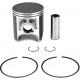 09-817999 SPI Мембрана RAVE Клапана Для Ski Doo 420260729