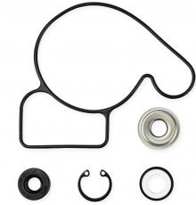 10-721311 SPI Ремкомплект Помпы Для Arctic Cat 3007-541, 0930-025, 3007-180, 0930-005, 3003-769, 3004-009, 3007-714, 0931-003, 3003-436, 3004-760
