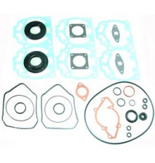 09-711255 SPI Полный Комплект Прокладок И Сальников Для Ski Doo 700 420888601, 420888602, 420888603, 420888604, 420931280, 420931792, 420931895