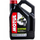 105888 MOTUL Моторное Масло SnowPower 2T FL Technosynt 4 Литра
