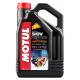 108210 MOTUL Моторное Масло SnowPower Synth 2T Синтетическое 4 Литра 108209