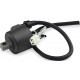 SM-01176 SPI Катушка Зажигания Для Arctic Cat 3007-548 Polaris 4012168, 4012169