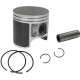 SM-09259 SPI Поршень Для Arctic Cat M800 3007-877