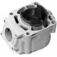 SM-09611 SPI Цилиндр Двигателя Для Polaris 600 3022305