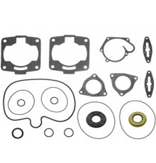 09-711265 SPI Полный Комплект Прокладок И Сальников Для Polaris 700 5411394, 3610044, 5812362, 5412232, 5410932, 5411294, 5410917, 5811799